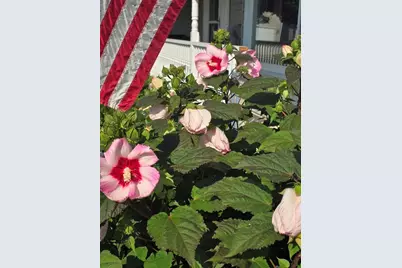 2940 Eldora Court SW, Byron Center, MI 49315 - Photo 20