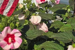 2940 Eldora Ct SW, Byron Center, MI 49315 - Photo 20