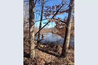 18821 Brownsville Street, Cassopolis, MI 49031 - Photo 8