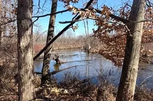 18821 Brownsville St, Cassopolis, MI 49031 - Photo 8