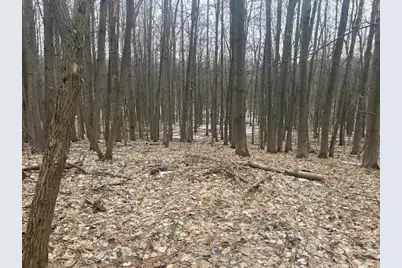 9735 Pere Marquette Drive, Stanwood, MI 49346 - Photo 1