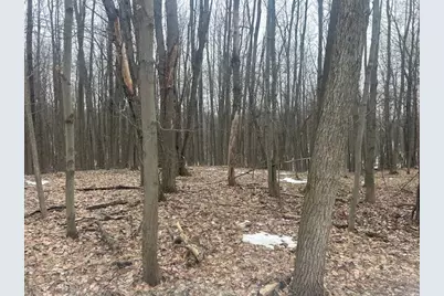 9735 Pere Marquette Drive, Stanwood, MI 49346 - Photo 2