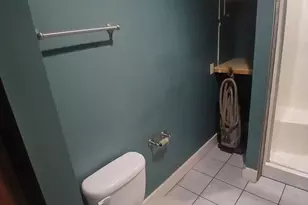 9130 17 Mile Rd, Marshall, MI 49068 - Photo 12