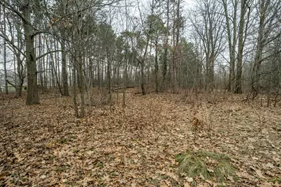 0A Linke Rd Road, Bridgman, MI 49106 - Photo 6