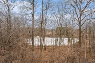 7776 Taylor Ridge Dr, Delton, MI 49046 - Photo 24