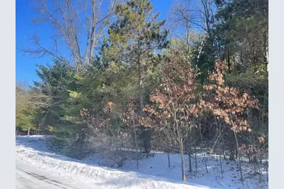 9098 Forest Pines Drive, Mecosta, MI 49332 - Photo 14