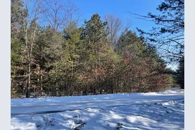 9098 Forest Pines Drive, Mecosta, MI 49332 - Photo 10