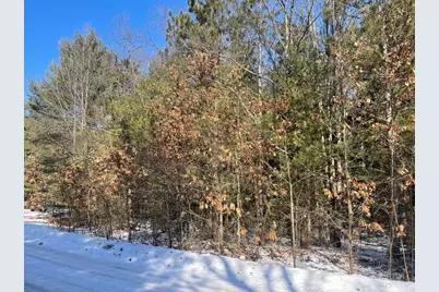 9098 Forest Pines Drive, Mecosta, MI 49332 - Photo 4