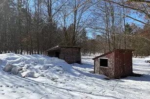 12355 9 Mile Rd, Kaleva, MI 49645 - Photo 48