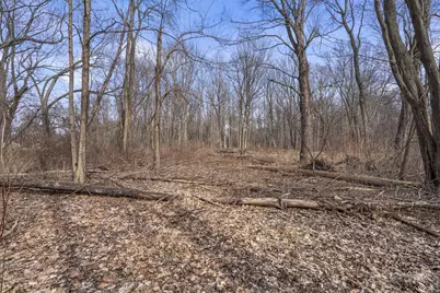 64th Street, Holland, MI 49423 - Photo 14