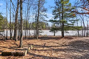 11000 N Wilvan Dr, Bitely, MI 49309 - Photo 4