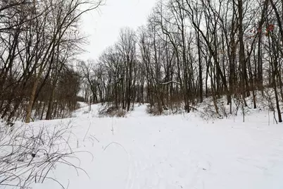 11150 W Drive N, Bellevue, MI 49021 - Photo 14