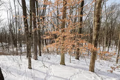 11150 W Drive N, Bellevue, MI 49021 - Photo 42