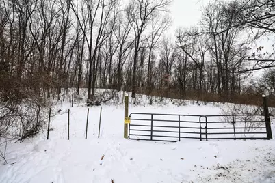 11150 W Drive N, Bellevue, MI 49021 - Photo 10