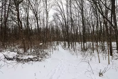 11150 W Drive N, Bellevue, MI 49021 - Photo 32