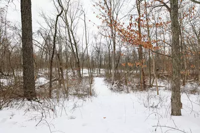 11150 W Drive N, Bellevue, MI 49021 - Photo 36