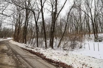 11150 W Drive N, Bellevue, MI 49021 - Photo 12