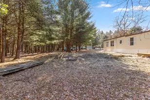 1066 Fisk Dr, Morley, MI 49336 - Photo 20