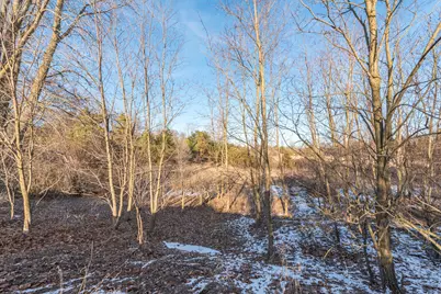 19820 Ivey Road, Chelsea, MI 48118 - Photo 36