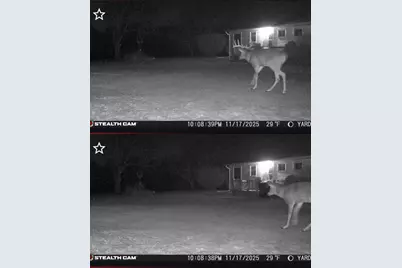 19820 Ivey Road, Chelsea, MI 48118 - Photo 42