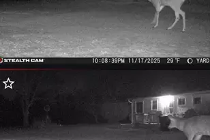 19820 Ivey Rd, Chelsea, MI 48118 - Photo 42