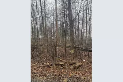 [Address not provided], Jackson, MI 49201 - Photo 4