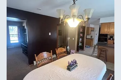 401 West Lane, Marion, MI 49665 - Photo 12