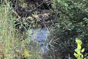 125 N Cedar St, Evart, MI 49631 - Photo 66