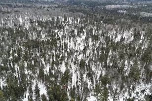 4440 W Cherry Creek Rd, Greenwood, MI 49756 - Photo 56