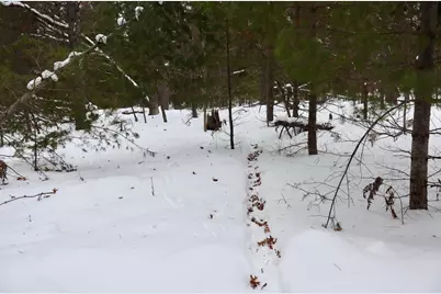 4440 W Cherry Creek Road, Greenwood, MI 49756 - Photo 44