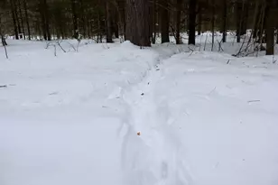 4440 W Cherry Creek Rd, Greenwood, MI 49756 - Photo 6