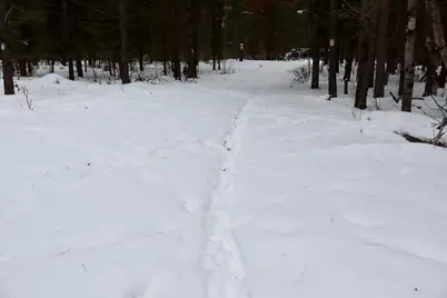 4440 W Cherry Creek Road, Greenwood, MI 49756 - Photo 30