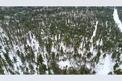 4440 W Cherry Creek Road, Greenwood, MI 49756 - Photo 26