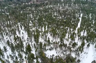 4440 W Cherry Creek Rd, Greenwood, MI 49756 - Photo 26