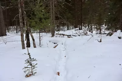 4440 W Cherry Creek Road, Greenwood, MI 49756 - Photo 10