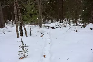 4440 W Cherry Creek Rd, Greenwood, MI 49756 - Photo 10