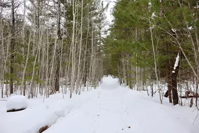 4440 W Cherry Creek Road, Greenwood, MI 49756 - Photo 8