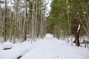 4440 W Cherry Creek Rd, Greenwood, MI 49756 - Photo 8