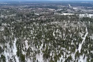 4440 W Cherry Creek Rd, Greenwood, MI 49756 - Photo 4