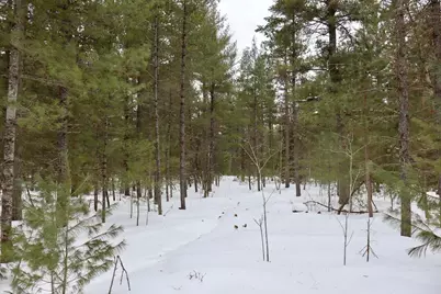 4440 W Cherry Creek Road, Greenwood, MI 49756 - Photo 50