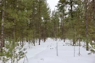 4440 W Cherry Creek Rd, Greenwood, MI 49756 - Photo 50