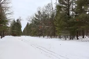 4440 W Cherry Creek Rd, Greenwood, MI 49756 - Photo 20