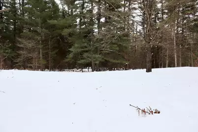 4440 W Cherry Creek Road, Greenwood, MI 49756 - Photo 32