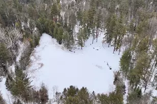 4440 W Cherry Creek Rd, Greenwood, MI 49756 - Photo 2