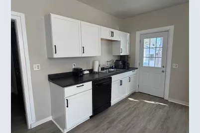 223 W Madison Street, Big Rapids, MI 49307 - Photo 10