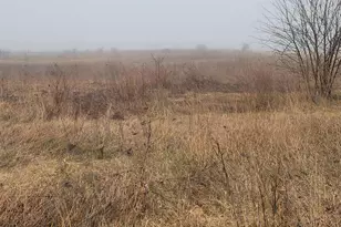 62nd St, Fennville, MI 49408 - Photo 1