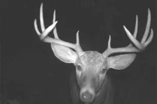 5837 Timber Blf Trl, Fennville, MI 49408 - Photo 38