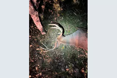 17550 U.S. 12, Cement City, MI 49233 - Photo 22