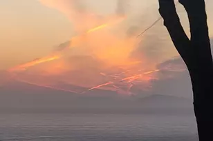 2307 Tecumseh Dr, Brooklyn, MI 49230 - Photo 74