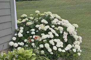 4112 E Vermontville Hwy, Potterville, MI 48876 - Photo 6